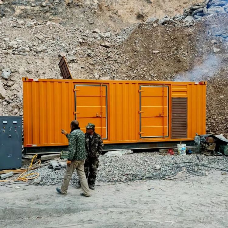 凤台如何选择适合自己的 800KW 柴油发电机组？